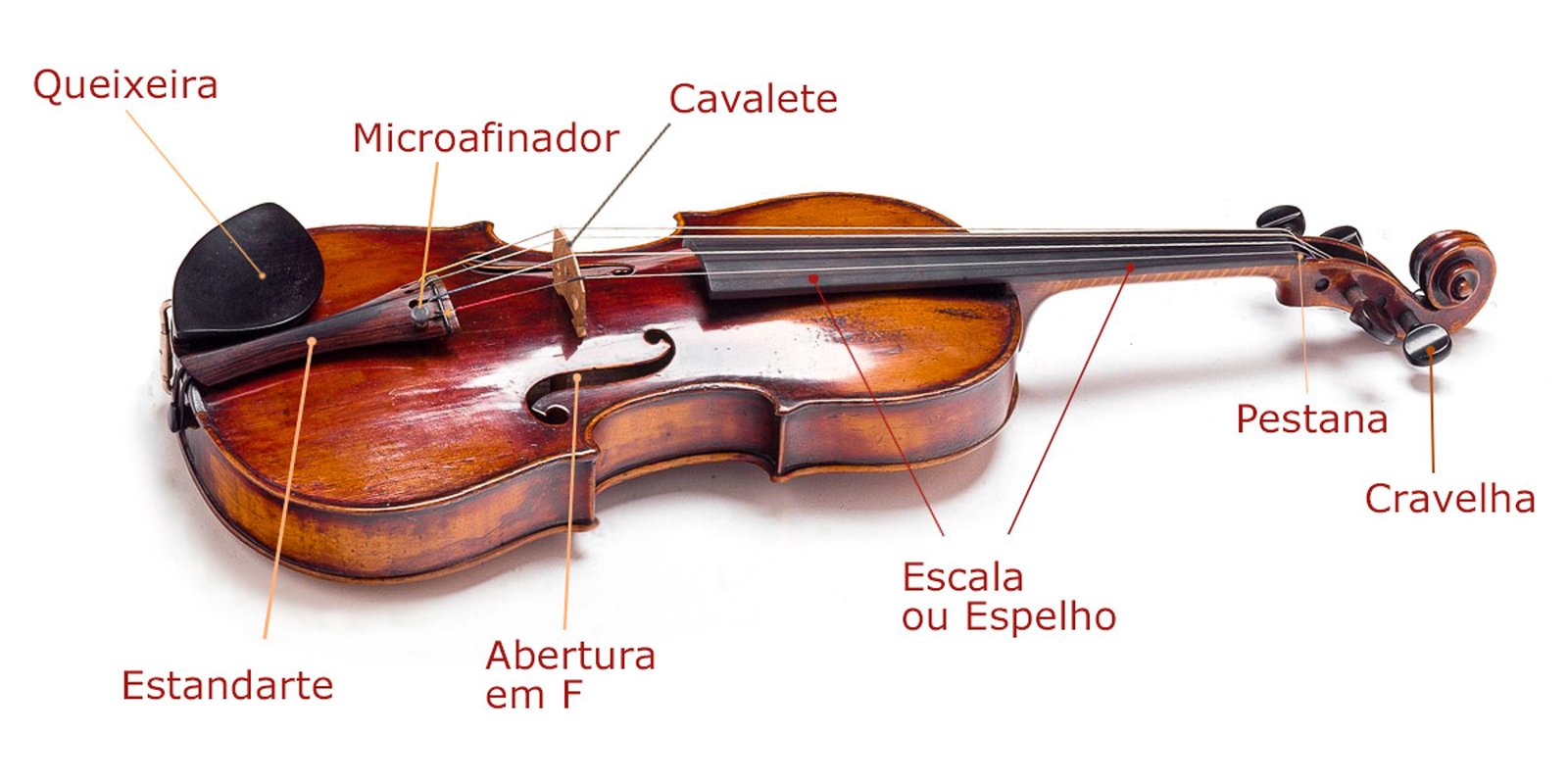 Partes de la viola