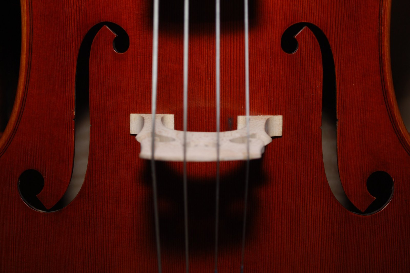 cordas musicais falsas