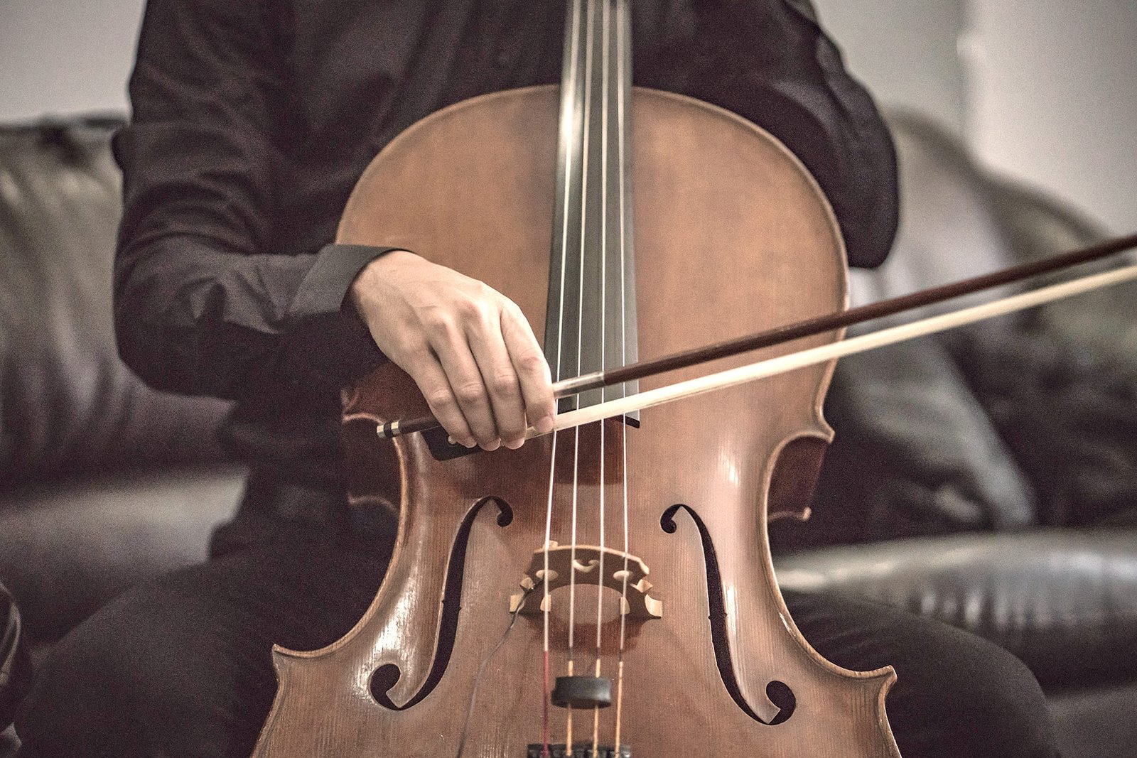 Cumbre crimen instinto Instrumento violoncelo: descubra as particularidades e a beleza dele!