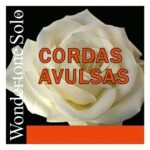 cordas avulsas pirastro wondertone solo