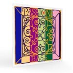 Cordas Pirastro Passione Contrabaixo Orquestra