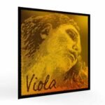 cordas Pirastro Evah Pirazzi Gold Steel Viola
