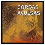 Cordas Avulsas Pirastro Evah Pirazzi Gold Violino